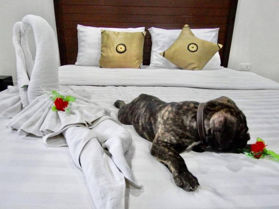 Vivi Boutique Room Hotel Sha Plus Rawai Екстериор снимка